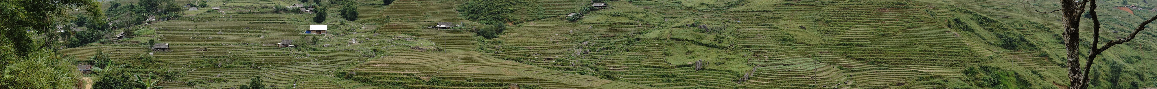 Read the latest news and blogs on land rights issues and investment